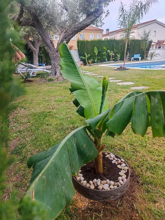 Villa Lujosa Con Spa, Piscina Y Sala De Juegos Privados Miami Playa