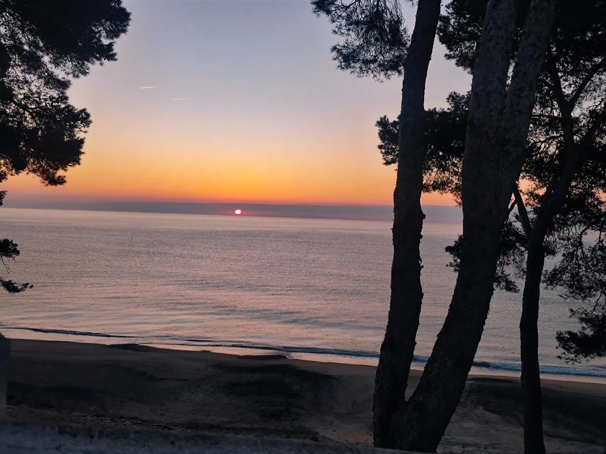 Villa Lujosa Con Spa, Piscina Y Sala De Juegos Privados Miami Playa Spanien